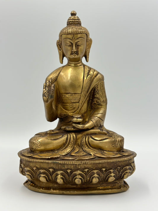 Shakyamuni Buddha 20cm